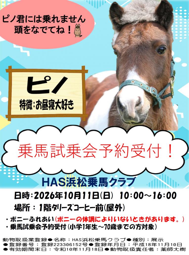【イベント】ポニーふれあいイベント